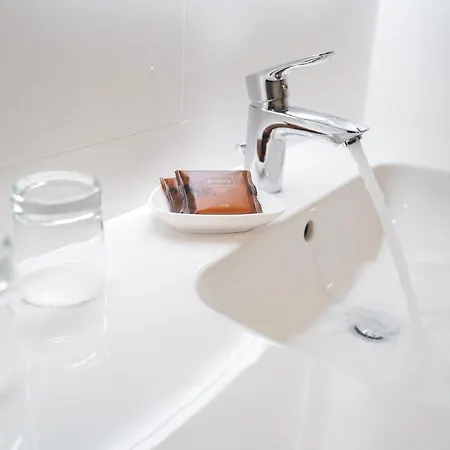 Irys By Derenivska Kupil Nyzhne Solotvyno