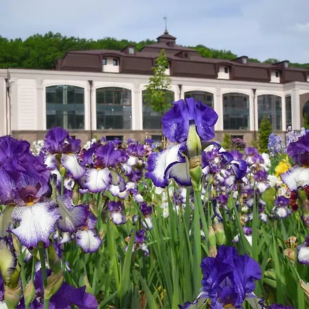 Irys By Derenivska Kupil