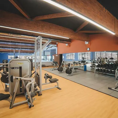 Irys By Derenivska Kupil Nyžne Solotvyno