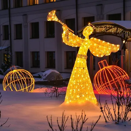 Hotel Irys By Derenivska Kupil Nyzhne Solotvyno