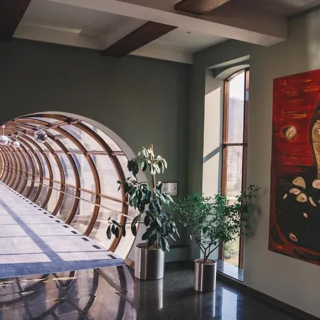 Hotel Irys By Derenivska Kupil Nyžne Solotvyno