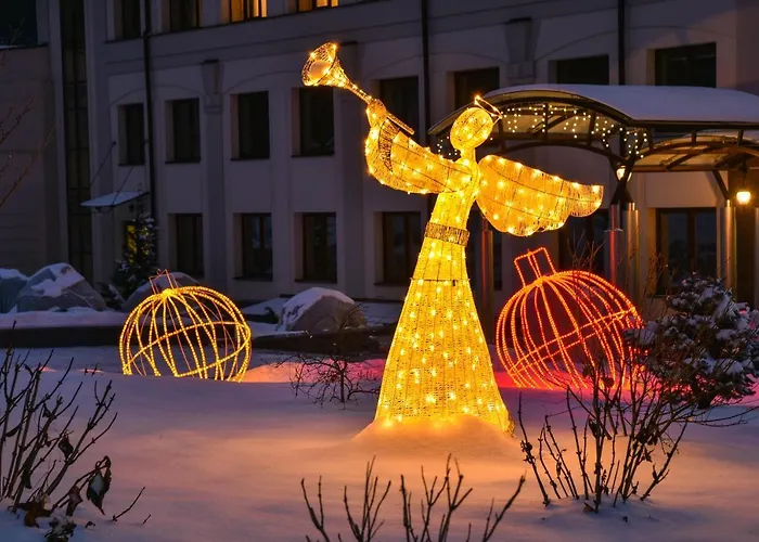 Hotel Irys By Derenivska Kupil Nyžne Solotvyno