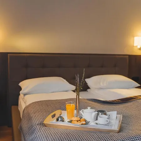 Irys By Derenivska Kupil Hotel Nyzhne Solotvyno