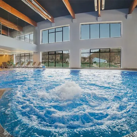 Irys By Derenivska Kupil Nyzhne Solotvyno